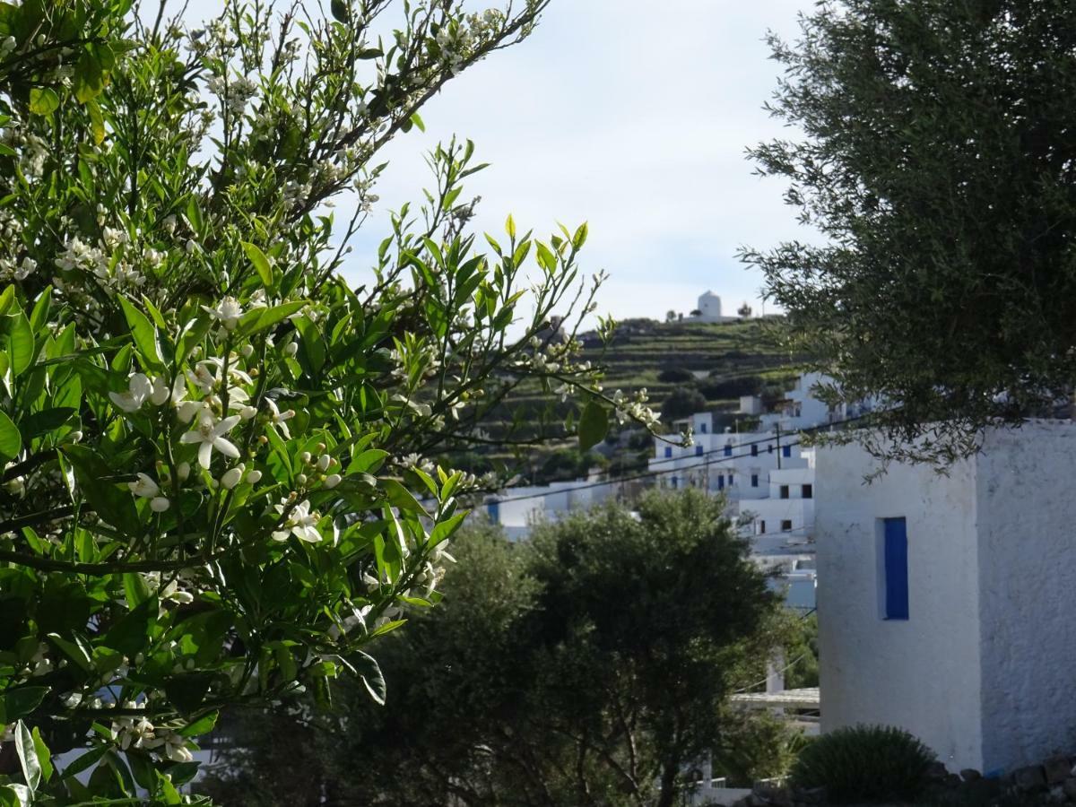 דירות Triovasálos Matilda Milos - Cycladic Living מראה חיצוני תמונה