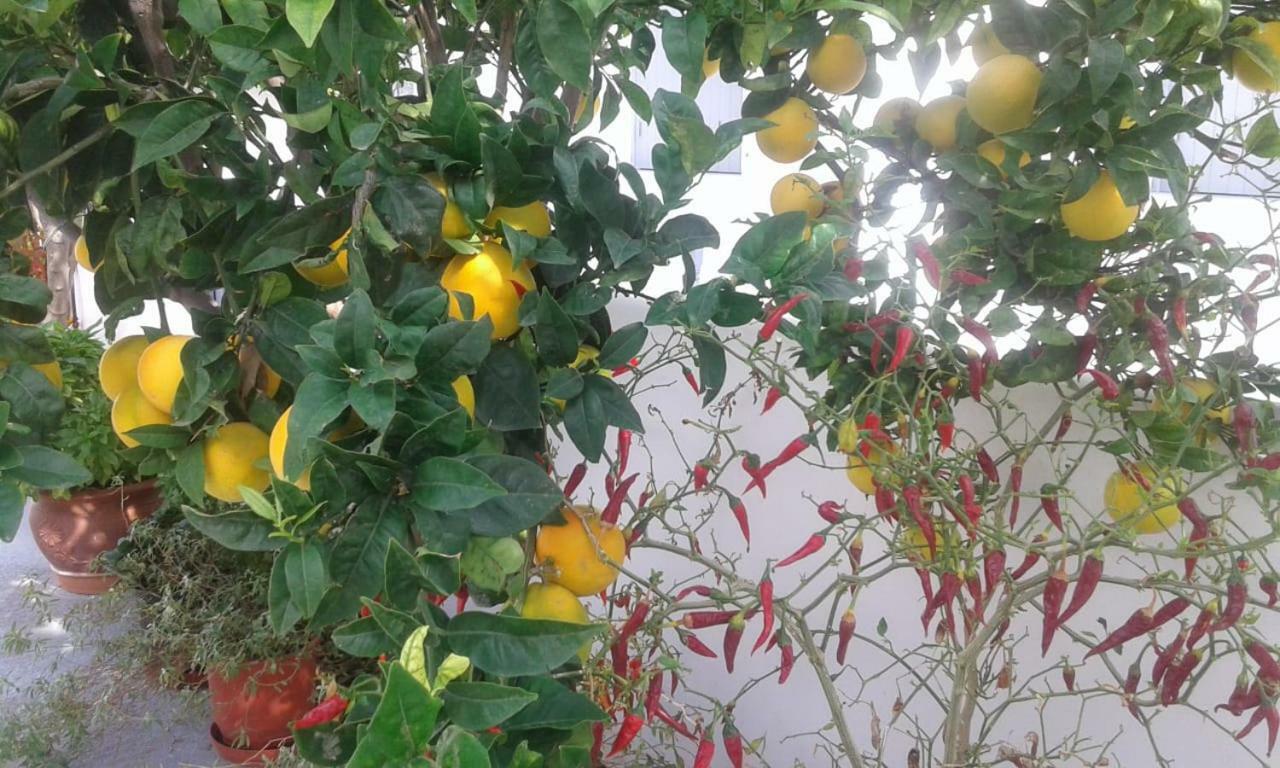 דירות Triovasálos Matilda Milos - Cycladic Living מראה חיצוני תמונה